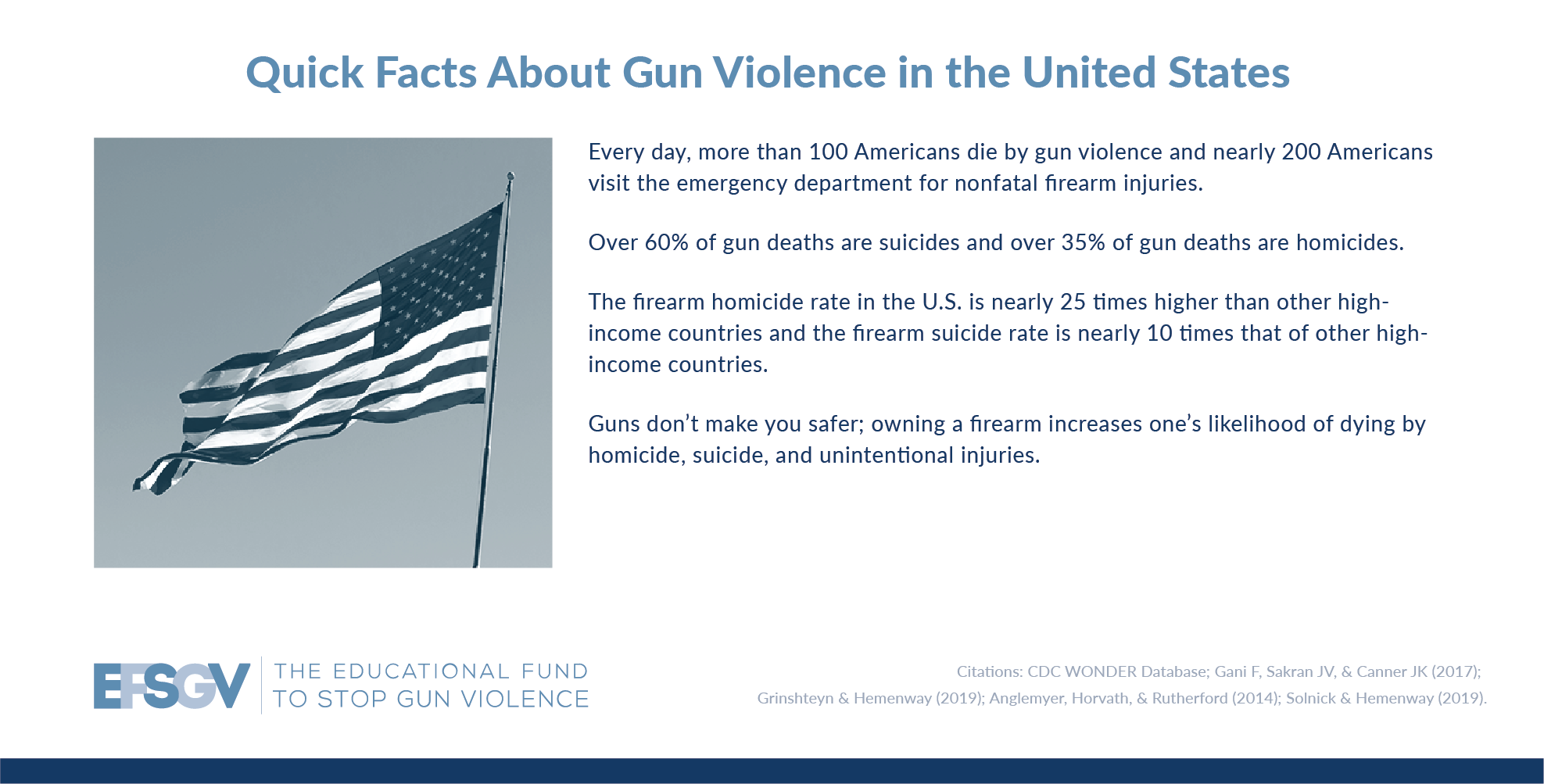 informative speech on gun violence